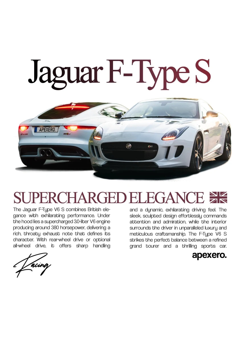 Jaguar print
